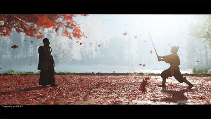 Ghost of Tsushima Director's Cut - PS4
