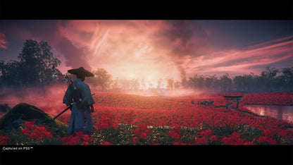 Ghost of Tsushima Director's Cut - PS4