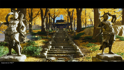 Ghost of Tsushima Director's Cut - PS4