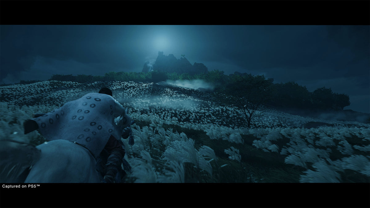 Ghost of Tsushima Director's Cut - PS4