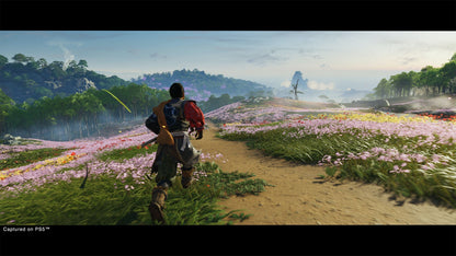 Ghost of Tsushima Director's Cut - PS4