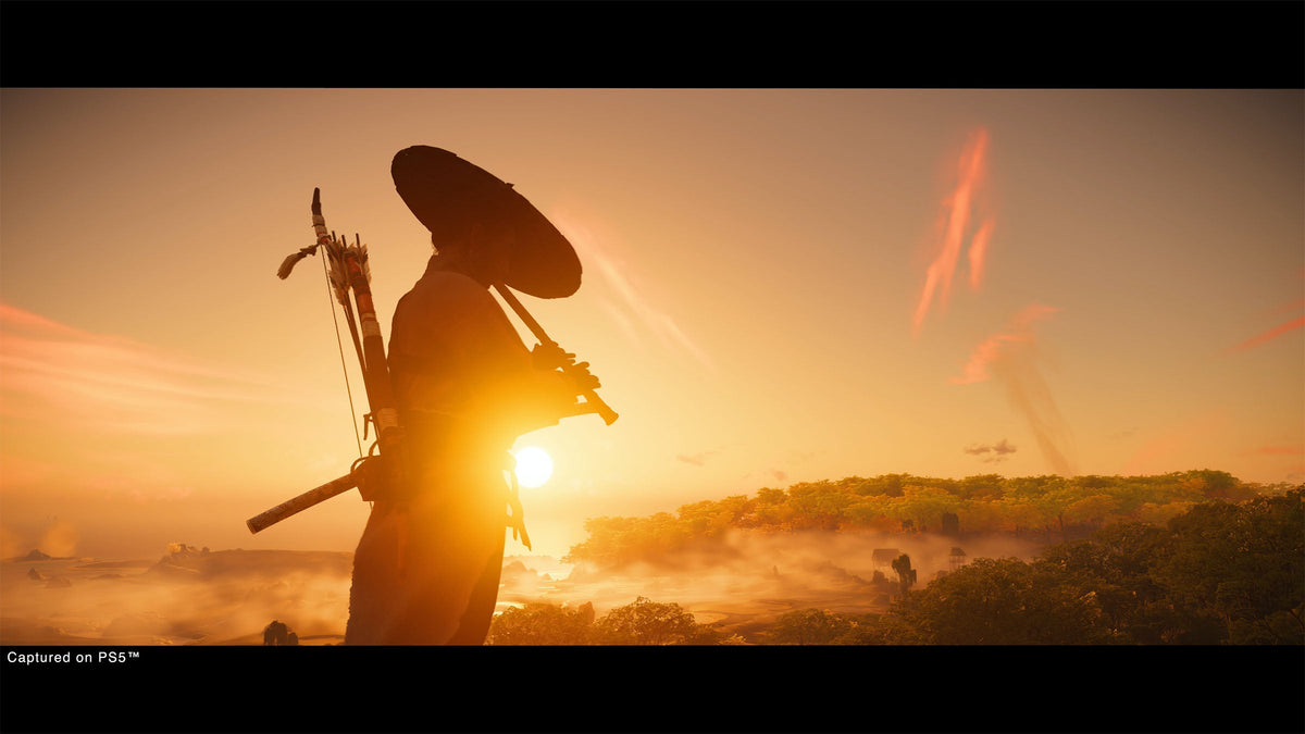 Ghost of Tsushima Director's Cut - PS4
