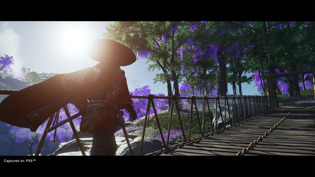Ghost of Tsushima Director's Cut - PS4