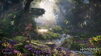 Horizon Forbidden West - PS4