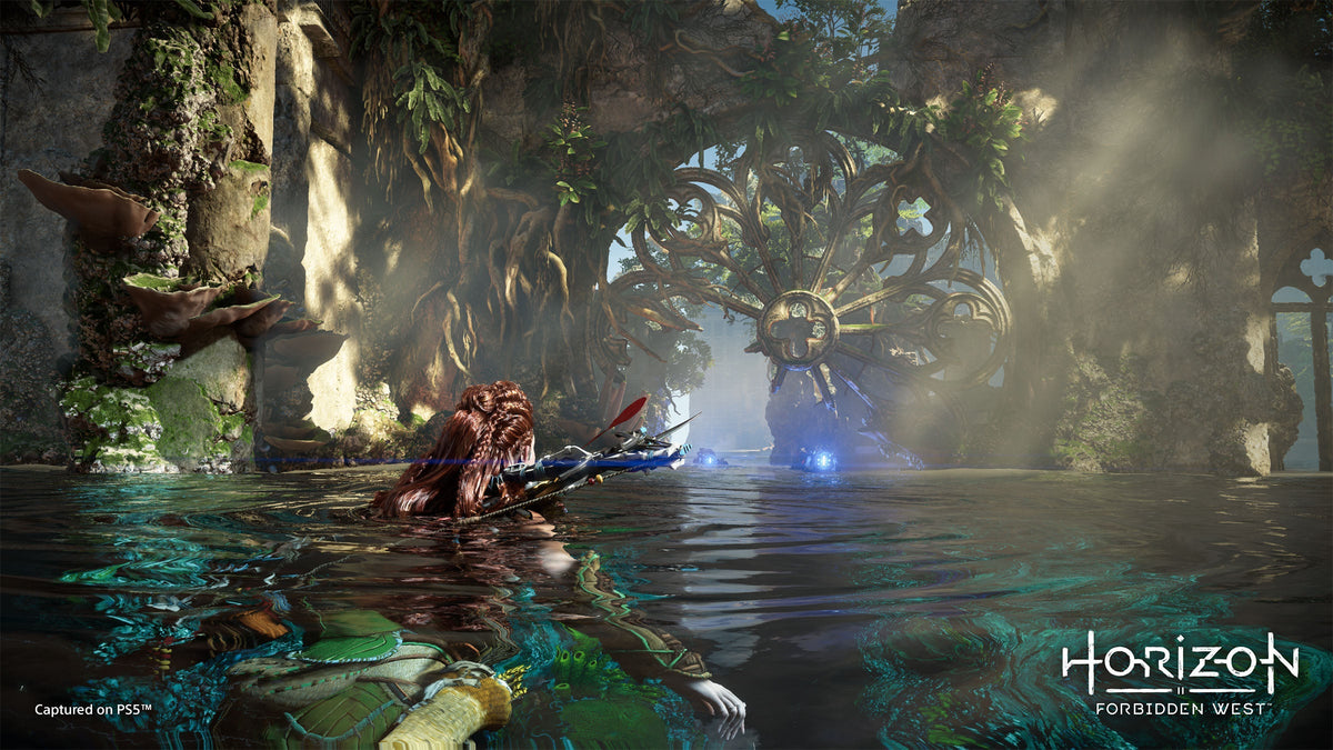 Horizon Forbidden West - PS4
